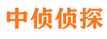 平乡市场调查